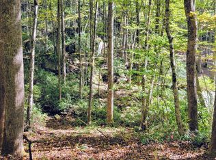 LOT Spikemoss Rd #P, Sapphire, NC 28774