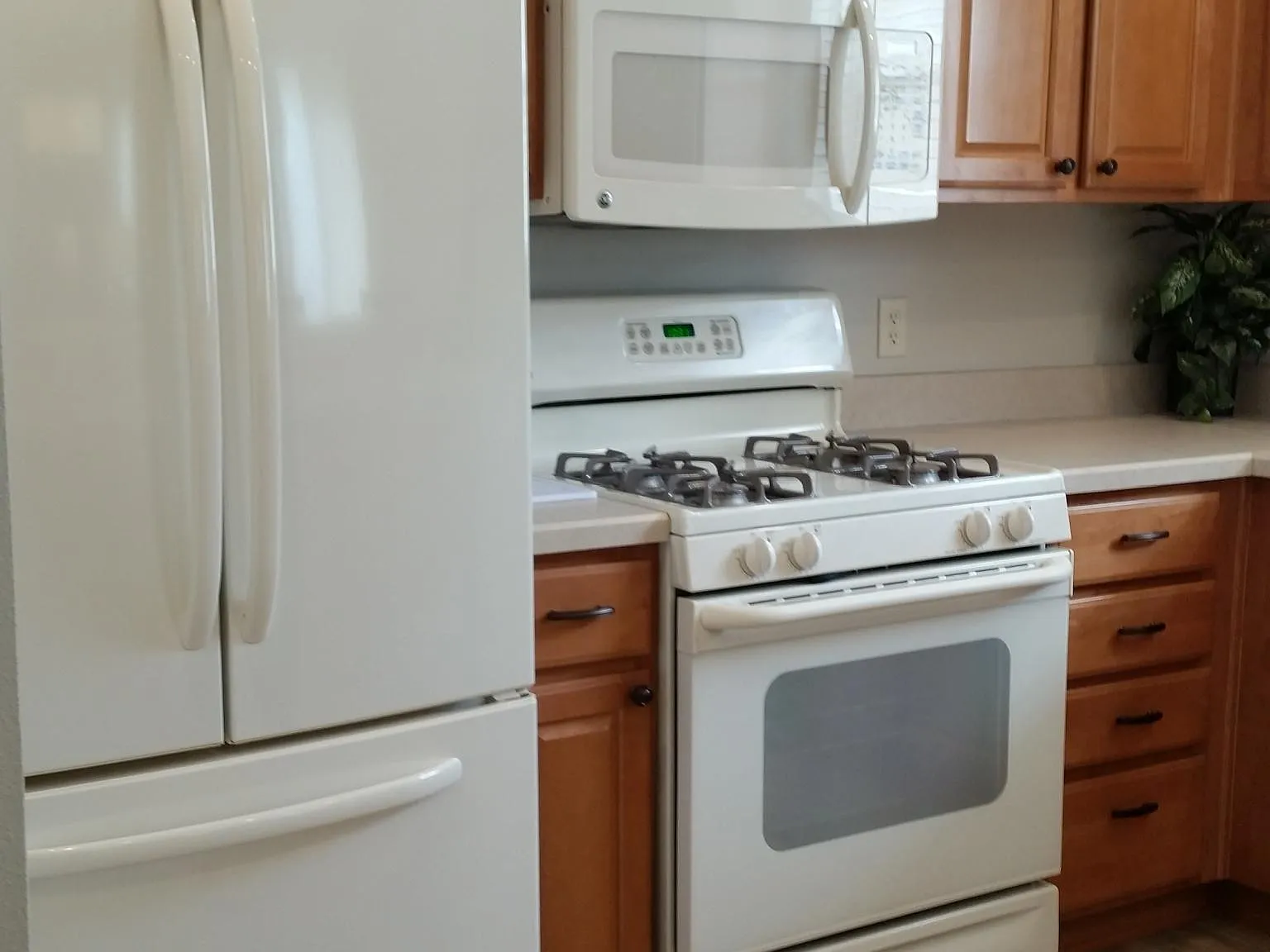 2 bed, 1183 sqft, $2,936 — Photo 3