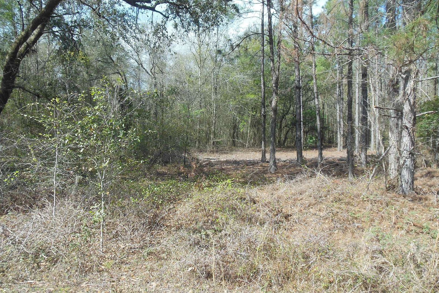 0 51st Ct, Jennings, FL 32053 Zillow