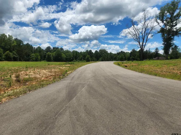 20021 Dews Ct, Troup, TX 75789
