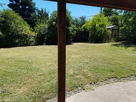 backyard view from living room