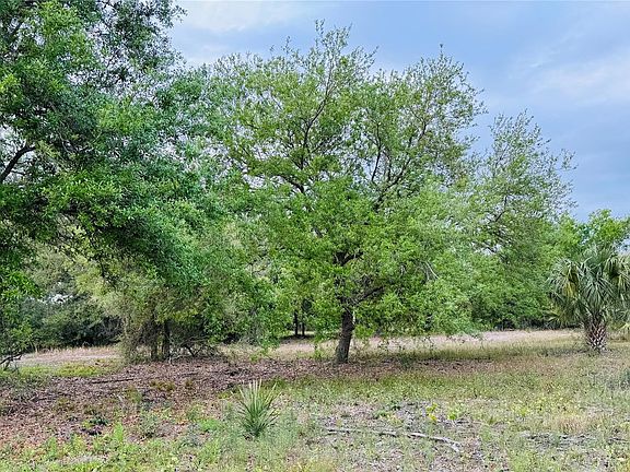 3rd image of 10555 State Road 60