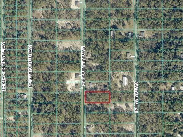 TBD SW OBEE RIDGE ROAD LOT 32, DUNNELLON, FL 34431