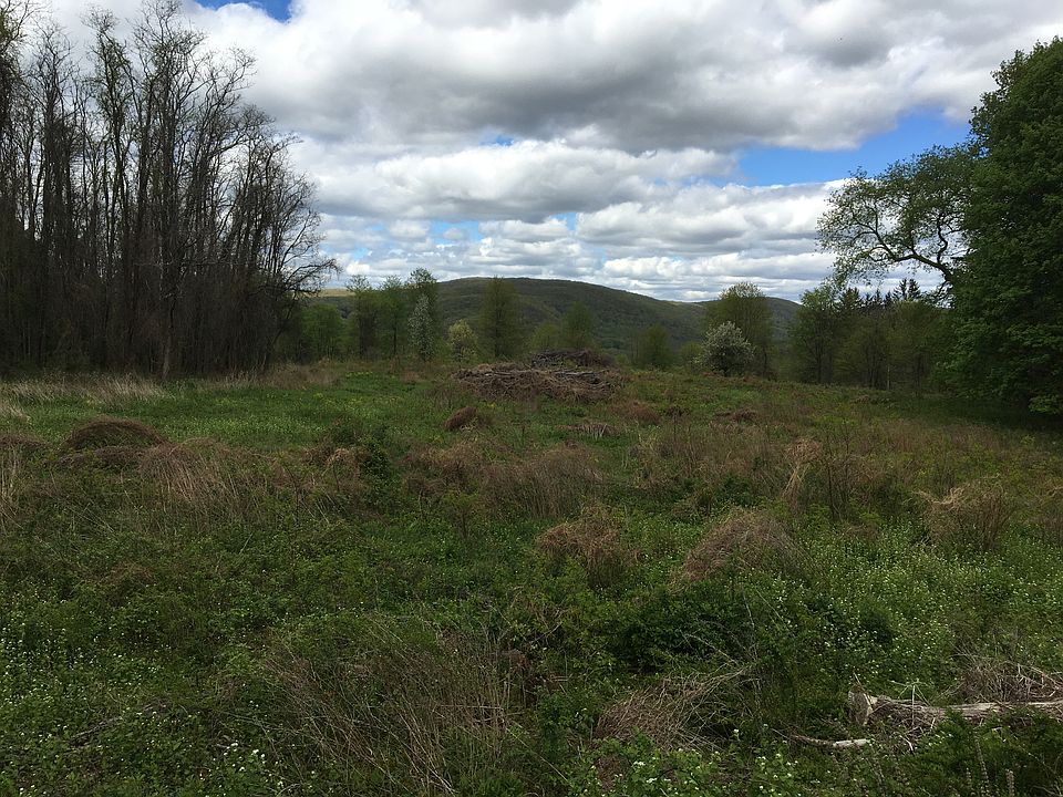 1st image of 4210 Old Route 22