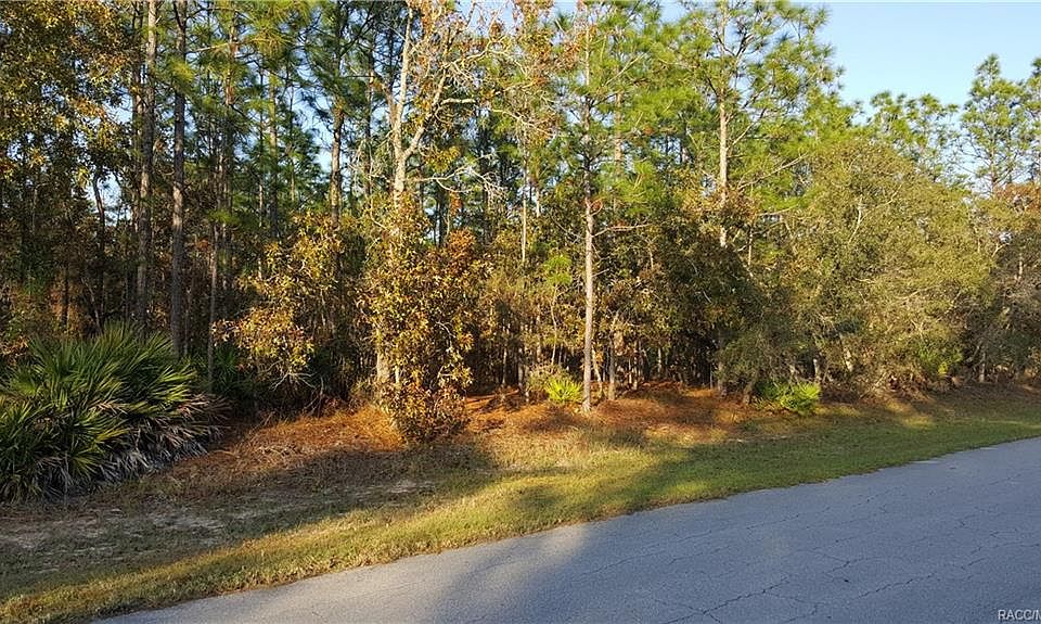 1st image of 4362 N Saddle Dr