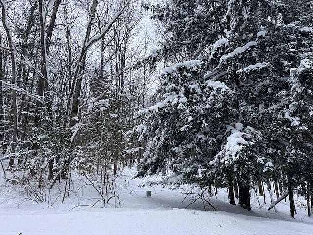 2nd image of Frank Smith Rd