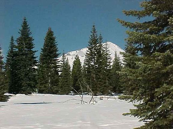 3rd image of Unit 4-blockc-lot4