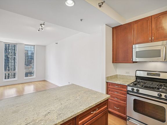5th image of 1250 S Michigan Ave APT 1706