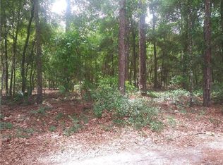 1132 E Woodpecker Ln, Hernando, FL 34442