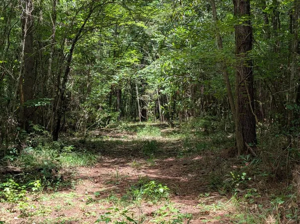 0 Graball Rd, Abbeville, AL 36310