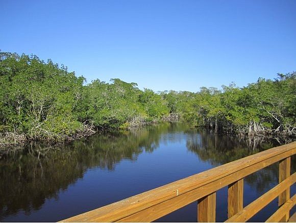From the Boardwalk
