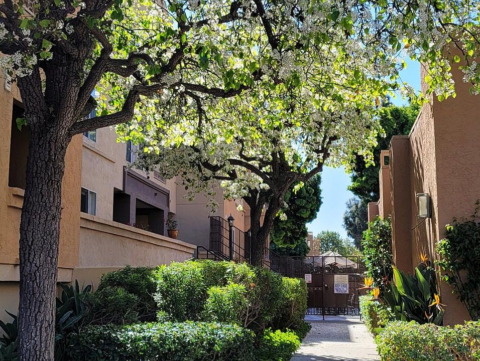 1st image of 3520 Lebon Dr Unit 5120