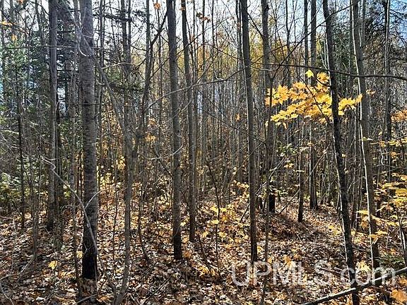 4th image of PARCEL 4 Crooked Rd