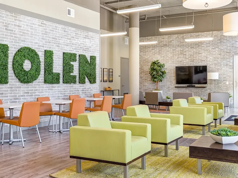 The Nolen Luxury Apartments — Photo 10