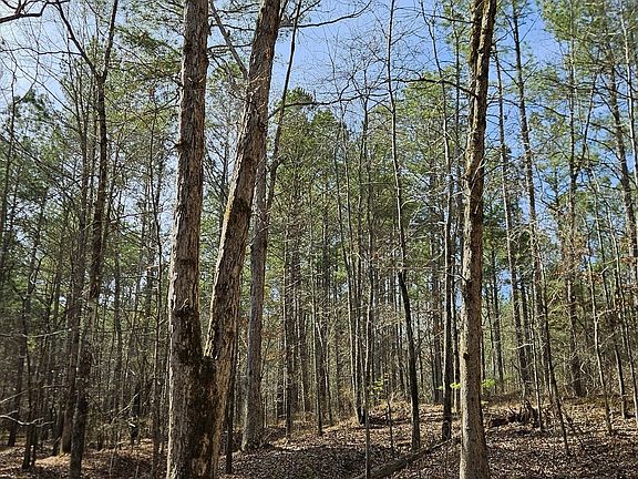 2nd image of 1121 Apalachee Meadows Dr