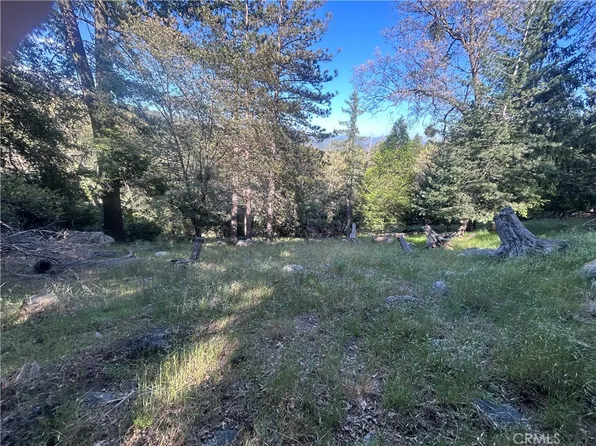 342 Canyon Dr, Cedarpines Park, CA 92322