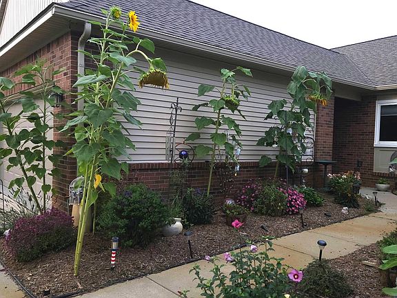 2nd image of 9301 Sunrise Ln #68