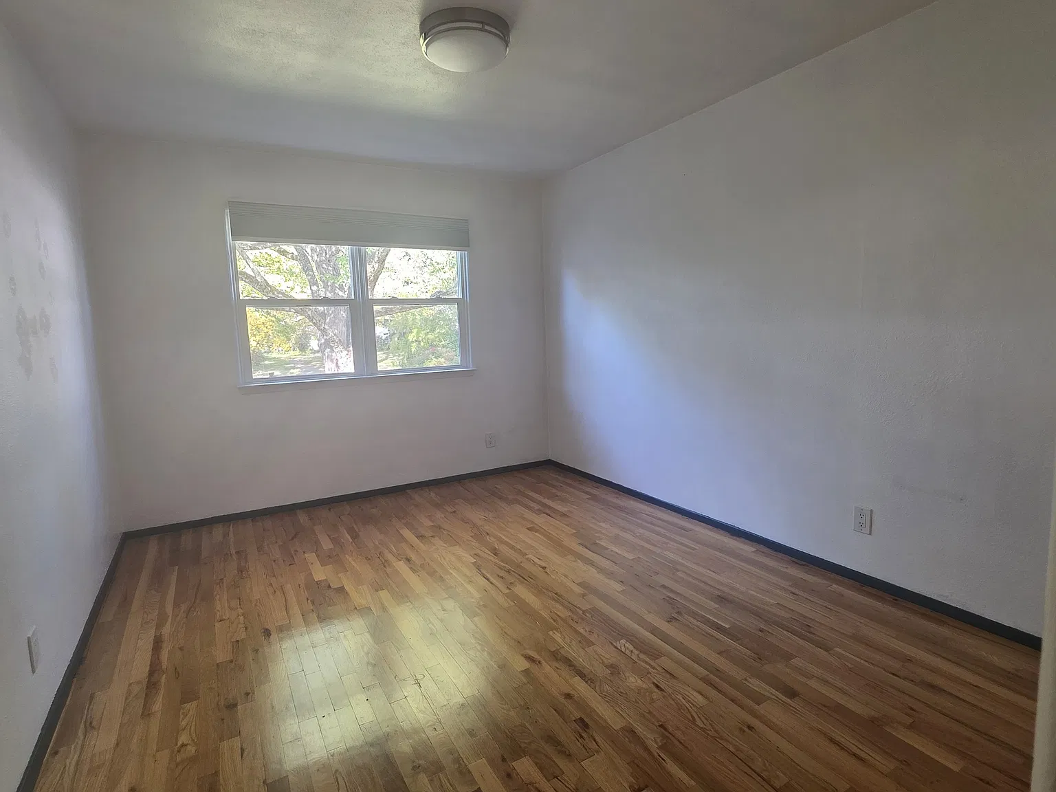 2 bed, 1050 sqft, $1,900 — Photo 2
