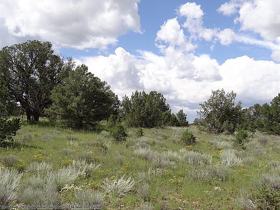 3rd image of Sierra De Manana Dr Lot 1