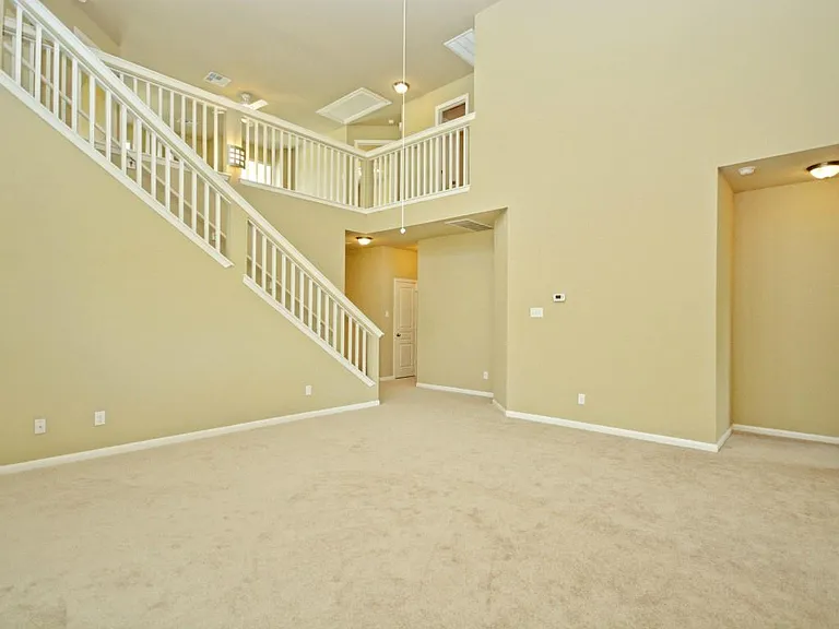 1413 Short Horn Cv — Photo 8