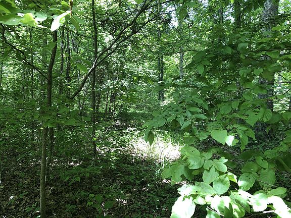 5th image of 0 Forest Dr