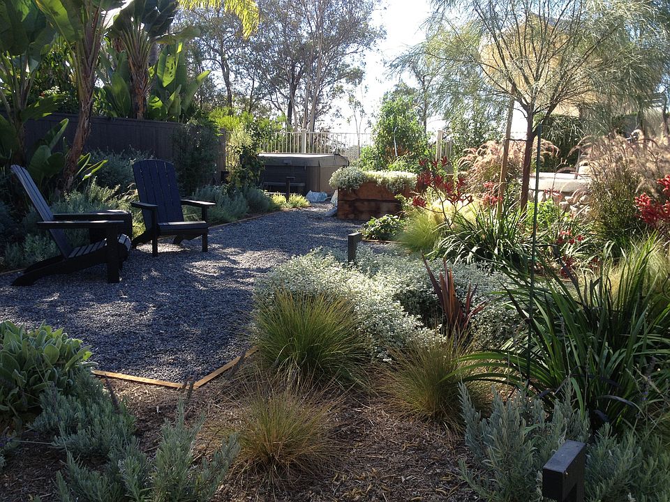 backyard, south side