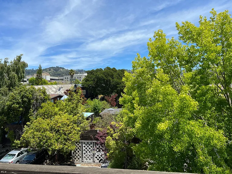 View from the balcony on the back.