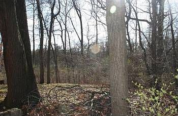 2nd image of N9169 Deer Path Rd