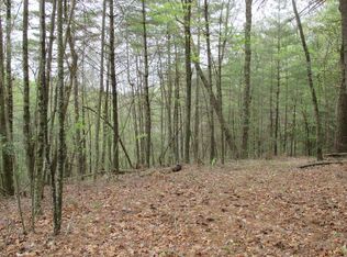 Ladybug Ln, Blue Ridge, GA 30513