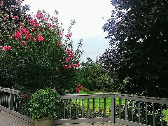 Large Deck