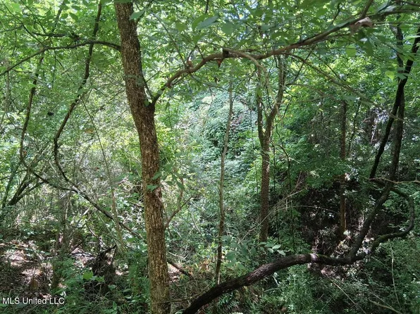Azalea Ln Lot 26, Natchez, MS 39120