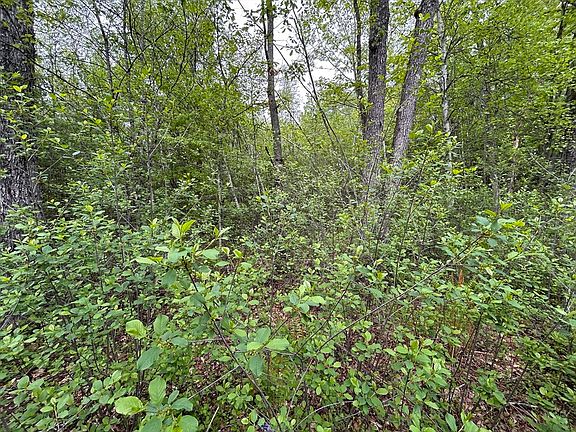 3rd image of LOT Two Stoddard Rd