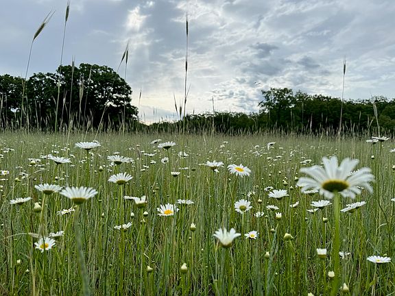 5th image of 10652 N River Rd #E