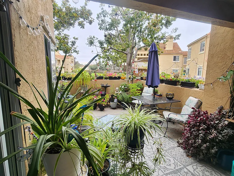 7325 Calle Cristobal #151 — Photo 9