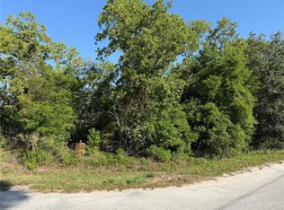 SE 154th St LOT 1, Summerfield, FL 34491