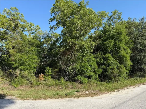SE 154th St Lot 1, Summerfield, FL 34491