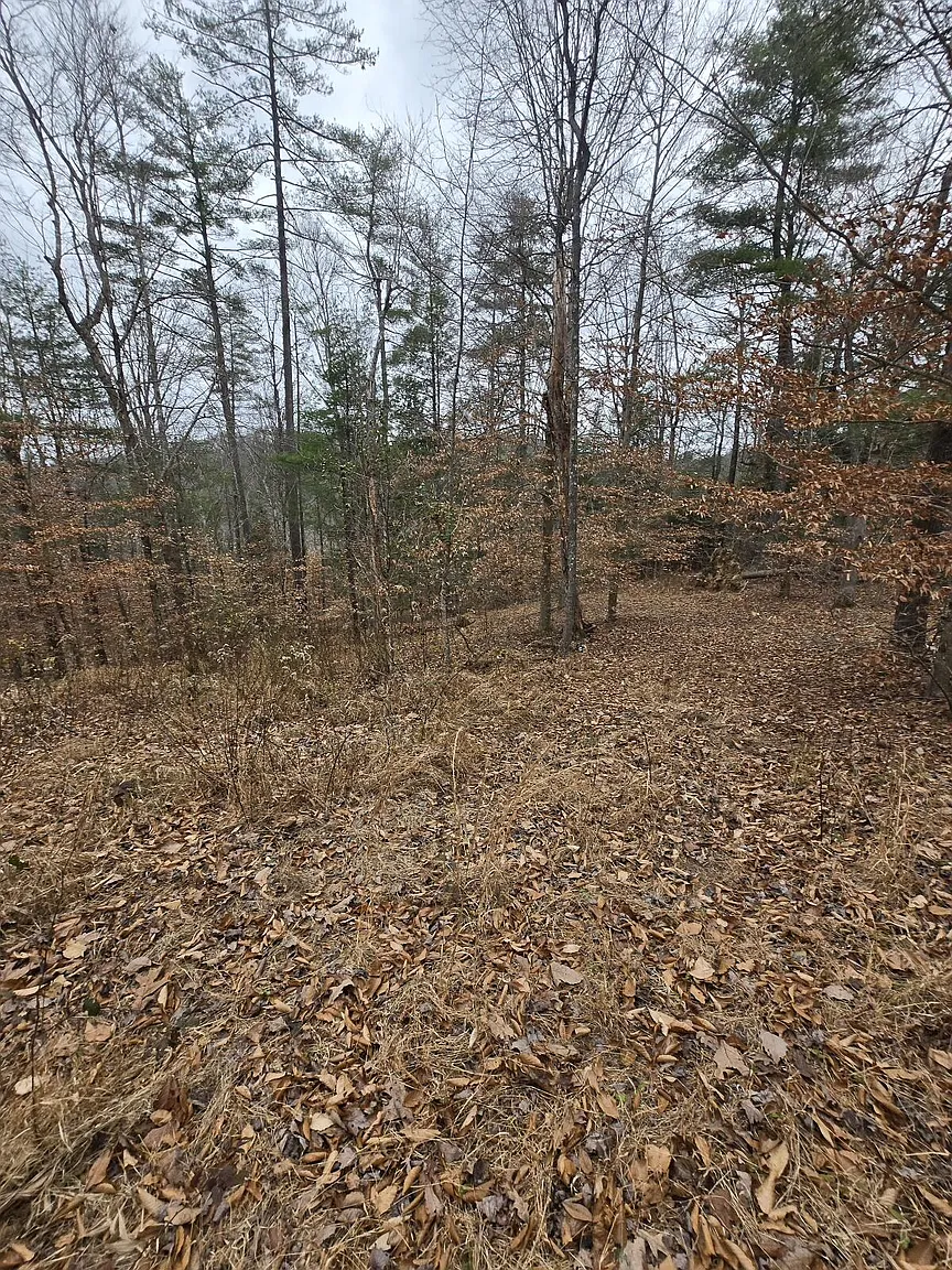 106 Sunset Valley photo 1