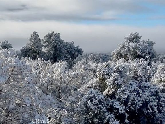 5th image of 29820 Chihuahua Valley Rd