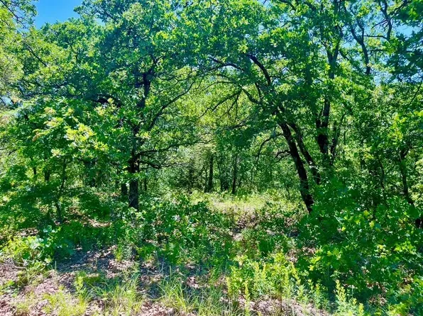 39 Kilkenny Rd, Poolville, TX 76487