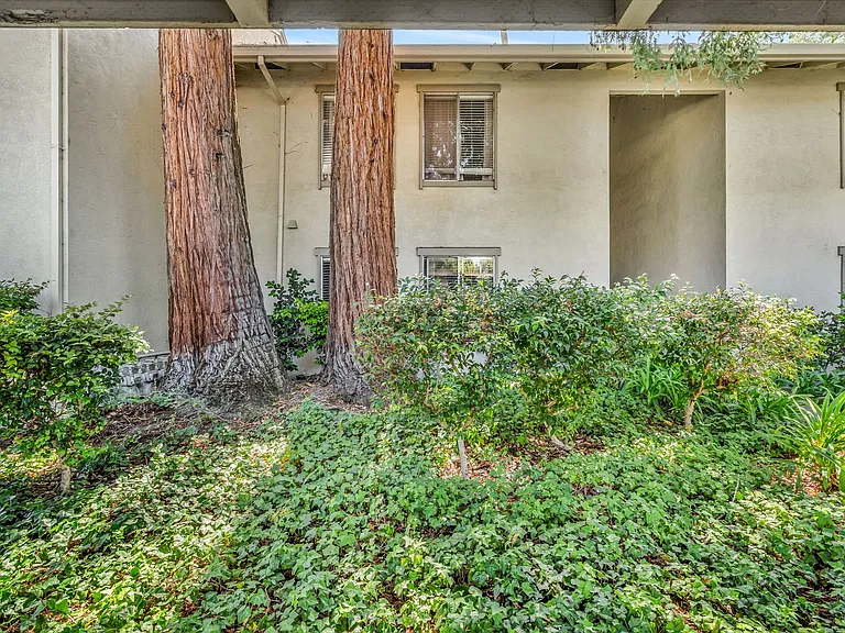 2562 Walnut Blvd #57 — Photo 4