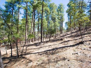 4573 S Loma Dr, Prescott, AZ 86303