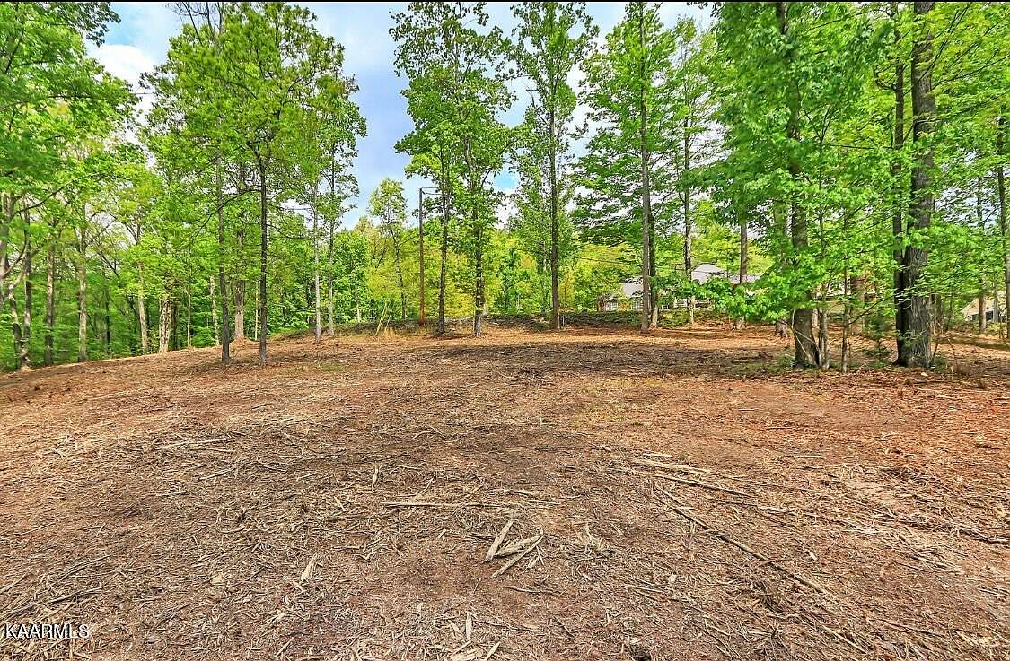 Cove Norris Rd 47, Caryville, TN 37714 MLS 1201786 Zillow