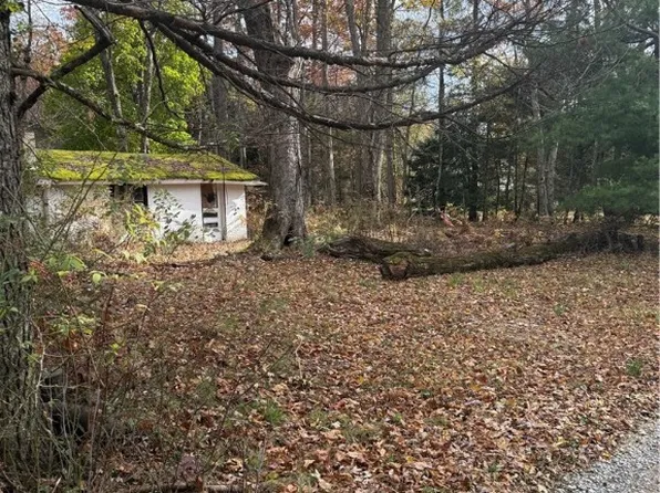 133 Wright Ln, Tionesta, PA 16353