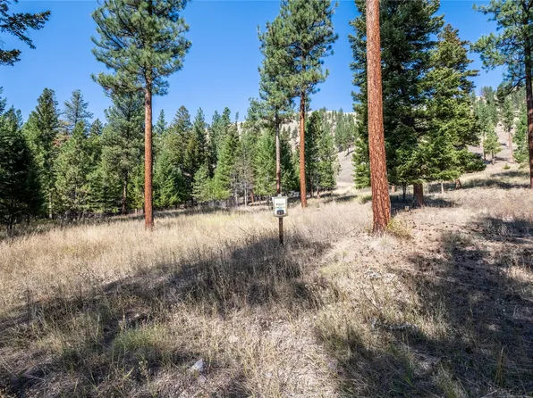 LOT 19 Caddisfly Ct, Clinton, MT 59825