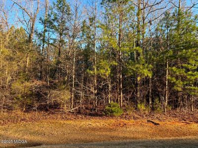 113 Gardens Dr, Forsyth, GA, 31029