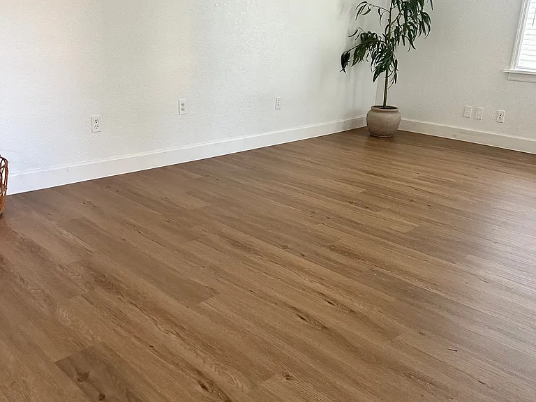 523 Shoreview Ave — Photo 5