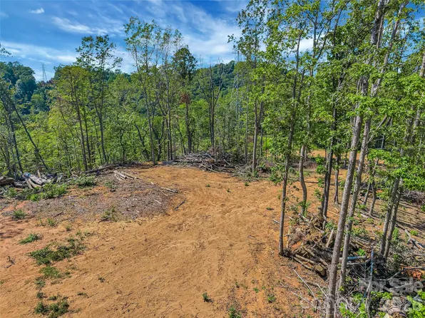 Early Rd, Saluda, NC 28773