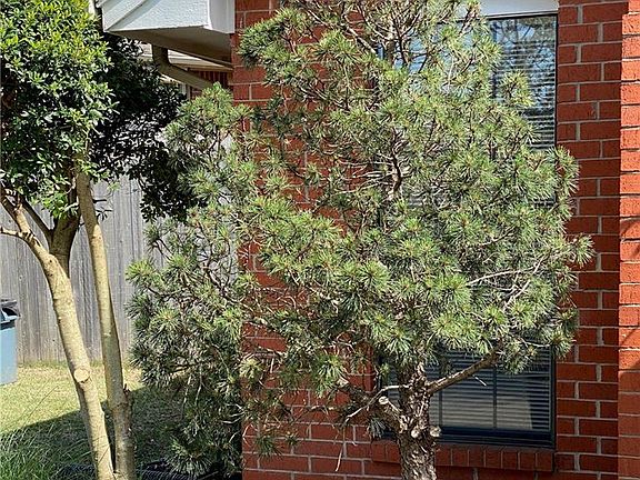 4th image of 2600 Northwood Ln