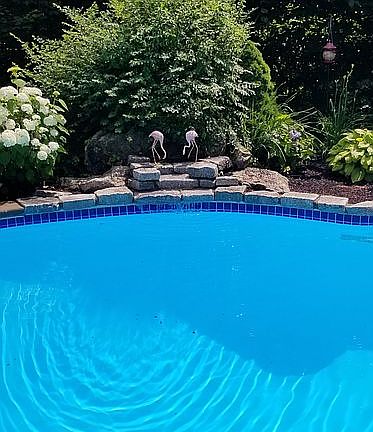 4th image of 17 Bogastow Cir
