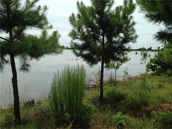 2nd image of 8799 Grand Lake Estates Dr